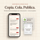 100 Ideias de Stories — copia cola publica